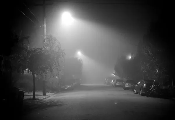 Spring Warmth Takes Hold: Morning Mists Give Way to Afternoon Sunshine Across Oakland