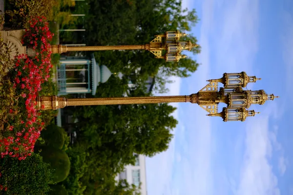 Glowfari Lanterns and Creative Workshops: What’s On in Oakland Today